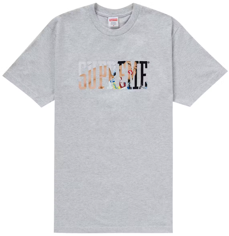 Supreme Tera Patrick Collegiate Tee Ash Grey